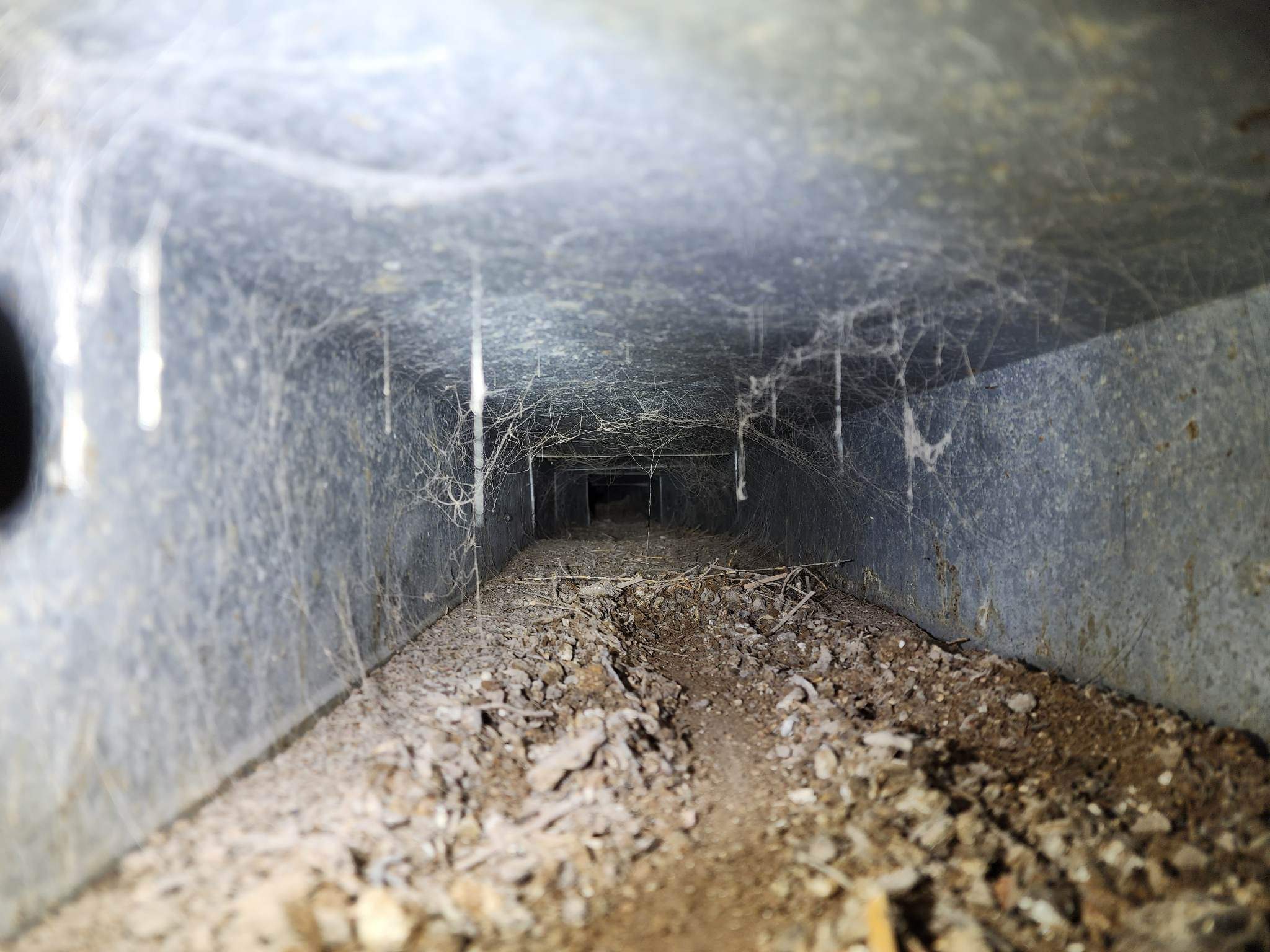 received_912176349786633